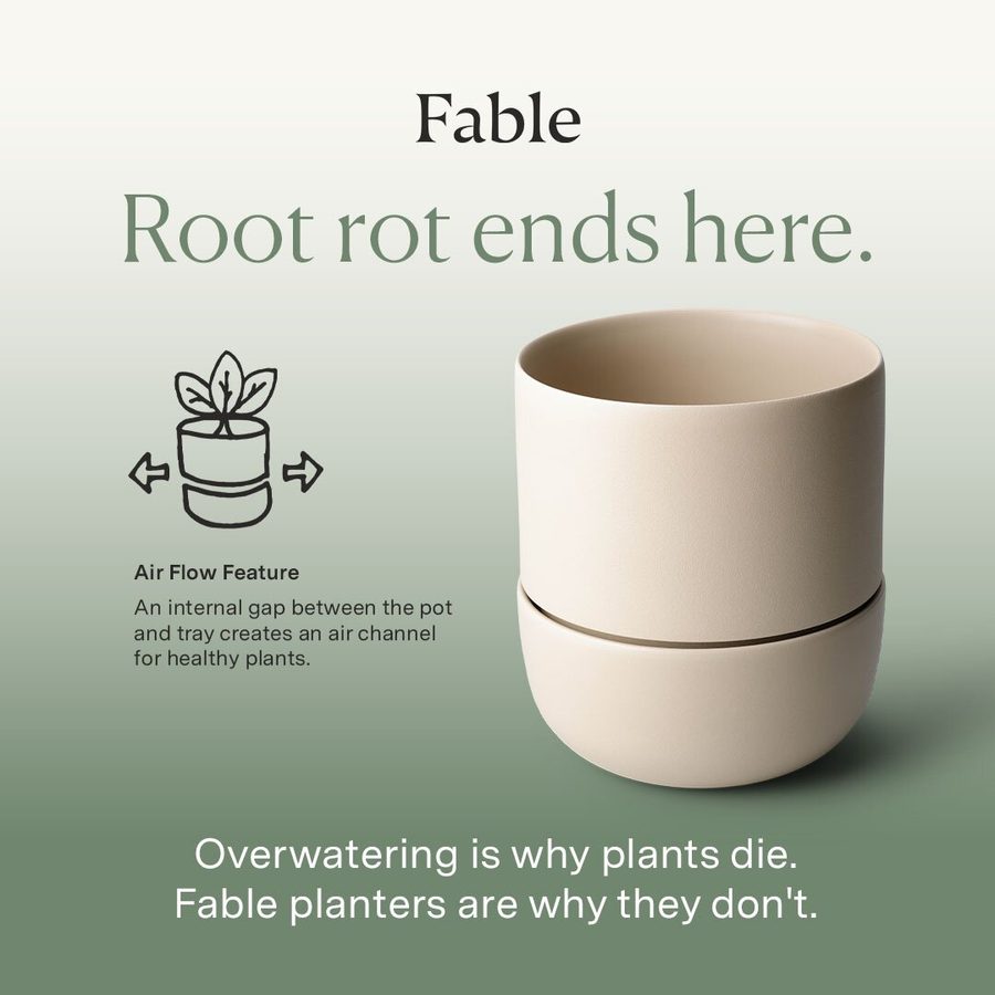 Fable 1:1 feed ad made by SelfMade